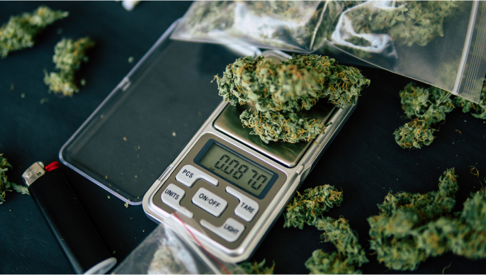 The Ultimate Guide to Weed Scales: Find the Best Type for Cannabis