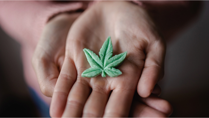 Marijuana Leaf Gummy Molds 