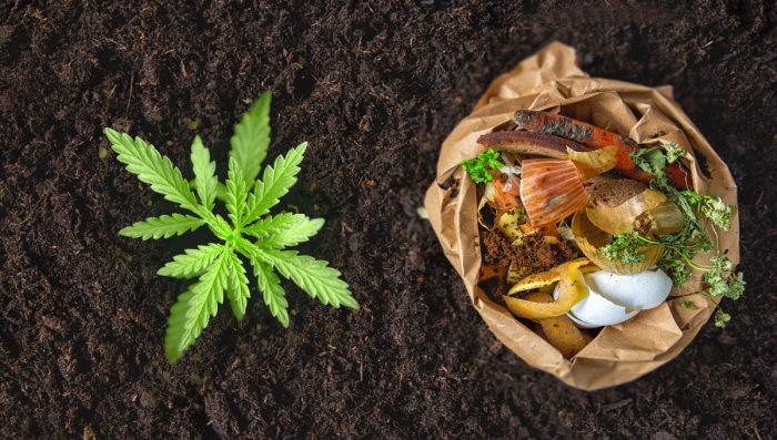 Nutrientes orgânicos de Cannabis: Compostagem