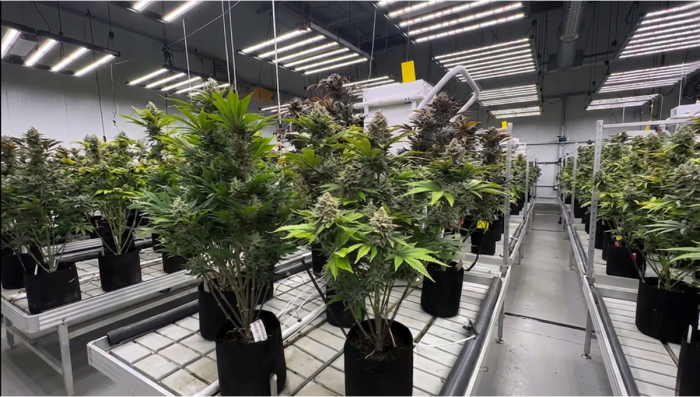 Frostbanger: Last Gen Review at Stress Test Room