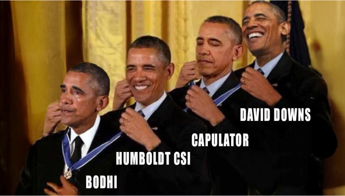 Independent Journalist Manipulating Votes