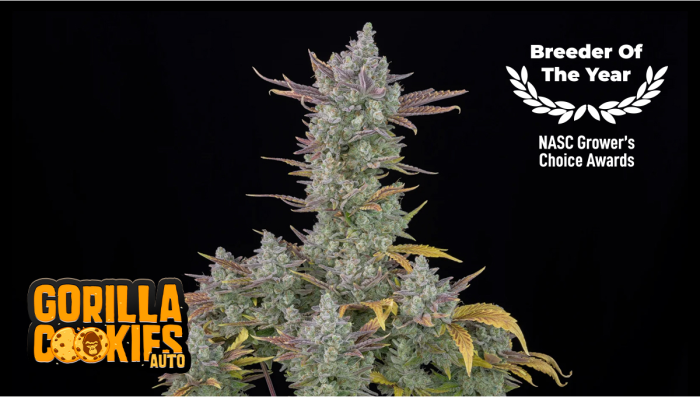 Molteplici Vittorie ai NASC Growers Choice Awards 2025