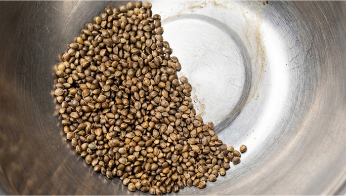 Manual Seed Extraction From Each Plant