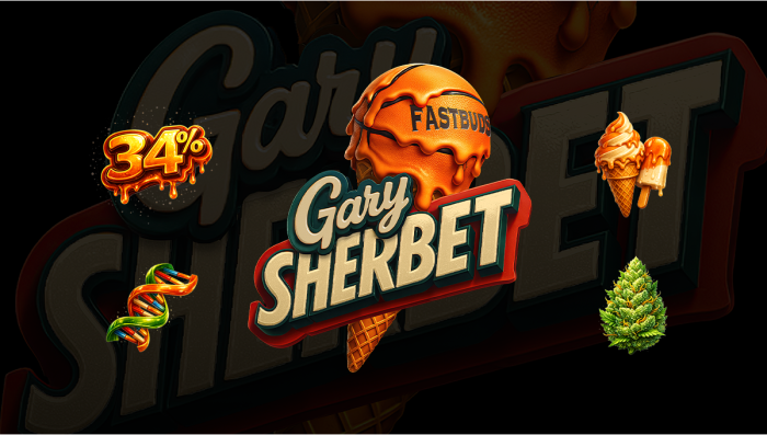 NOWA Premiera Odmiany Gary Sherbet