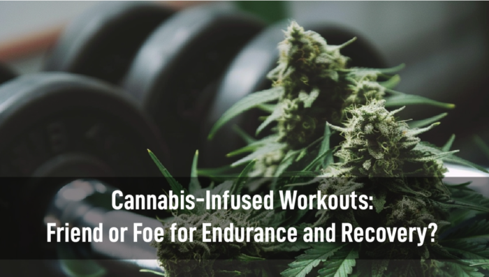 Cannabis-Infused Workouts: Myth or Magic for Enhancing Physical ...