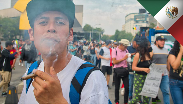 Mexico: Cannabis May Be Legalized This Legislative Session | Fast Buds