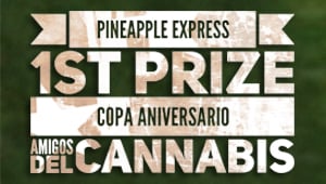Pineapple Express wins 1st PRIZE!
