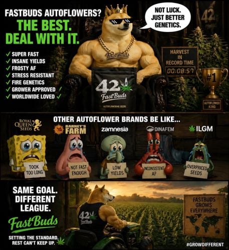 Fast Buds Community Meme #555