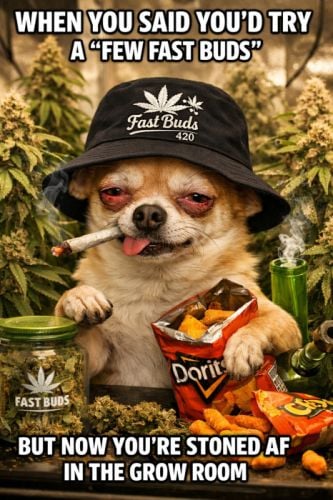 Fast Buds Community Meme #551