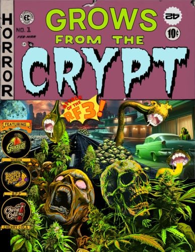 Fast Buds Community Meme #535