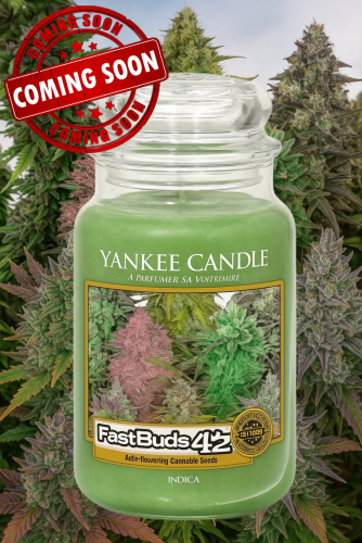 Fast Buds Community Meme #489