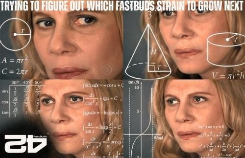 Fast Buds Community Meme #553