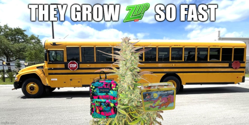 Fast Buds Community Meme #462