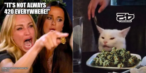 Fast Buds Community Meme #501