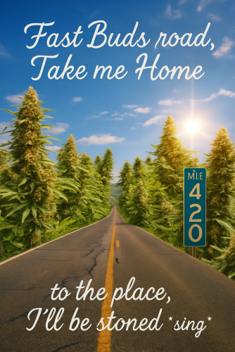 Fast Buds Community Meme #467