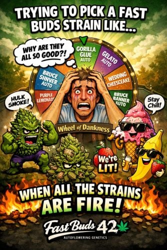 Fast Buds Community Meme #537