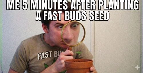 Fast Buds Community Meme #524