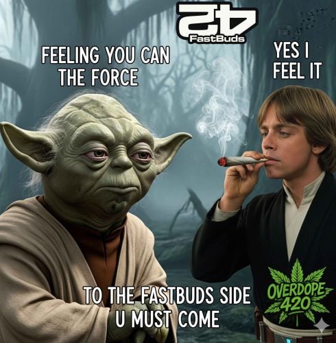 Fast Buds Community Meme #463