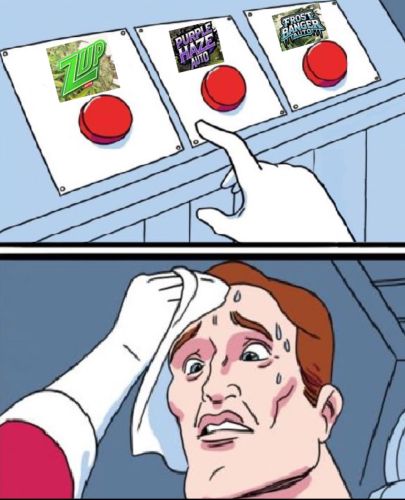 Fast Buds Community Meme #460