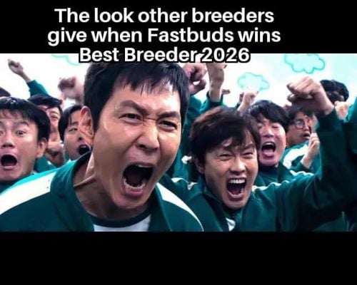 Fast Buds Community Meme #525