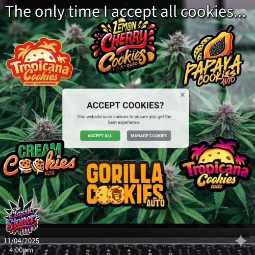 Fast Buds Community Meme #497