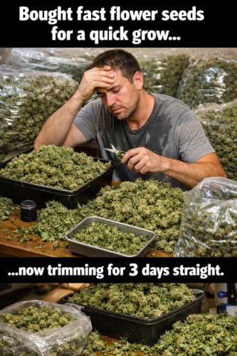 Fast Buds Community Meme #552