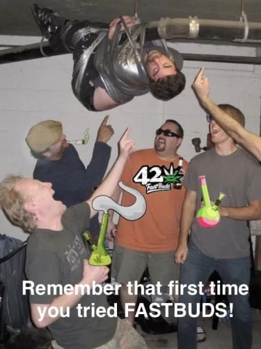 Fast Buds Community Meme #550