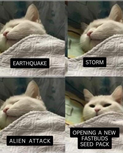 Fast Buds Community Meme #485