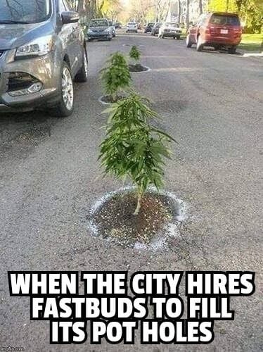 Fast Buds Community Meme #483