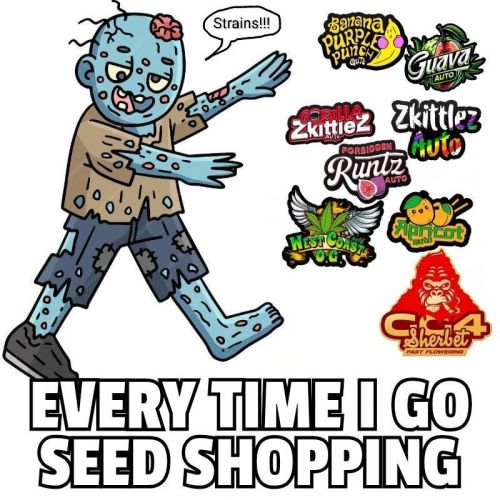 Fast Buds Community Meme #469