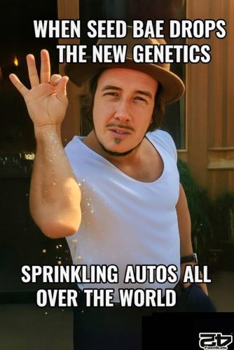 Fast Buds Community Meme #470
