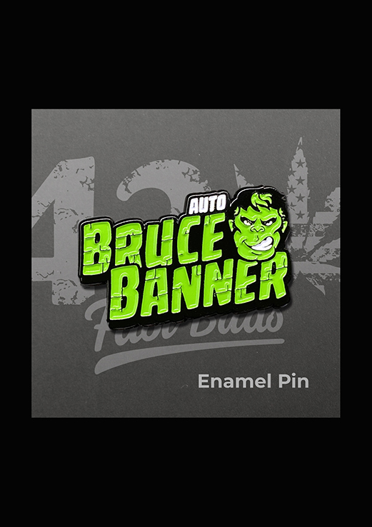 Bruce Banner Pin