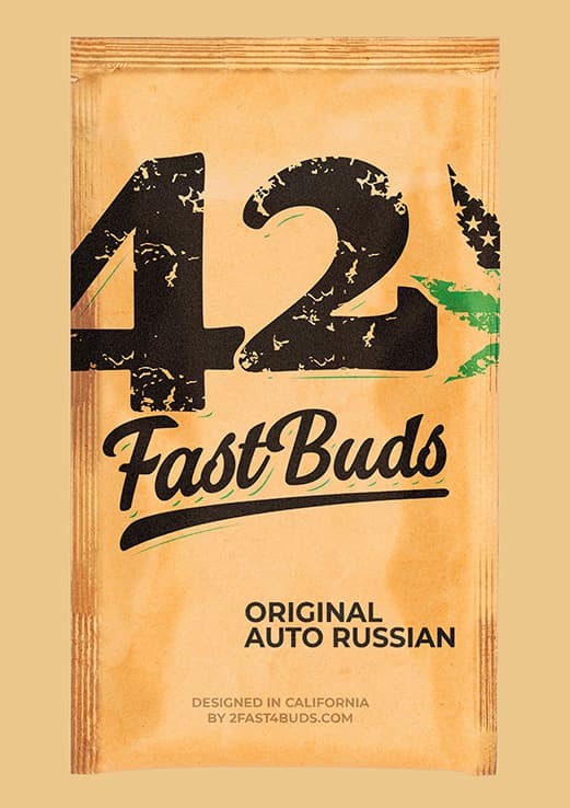 Russian Auto-image